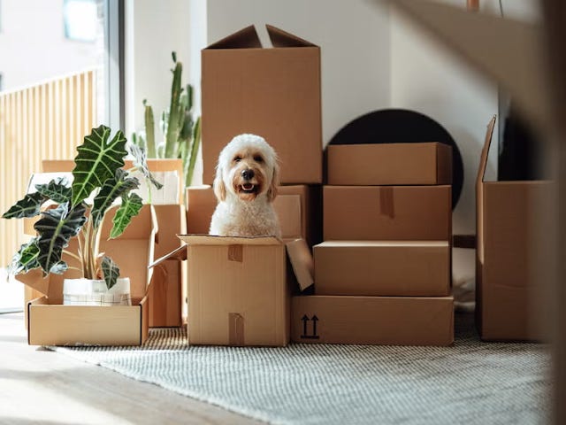 5 Stress-Reducing Tips for Planning Your Long-Distance Move