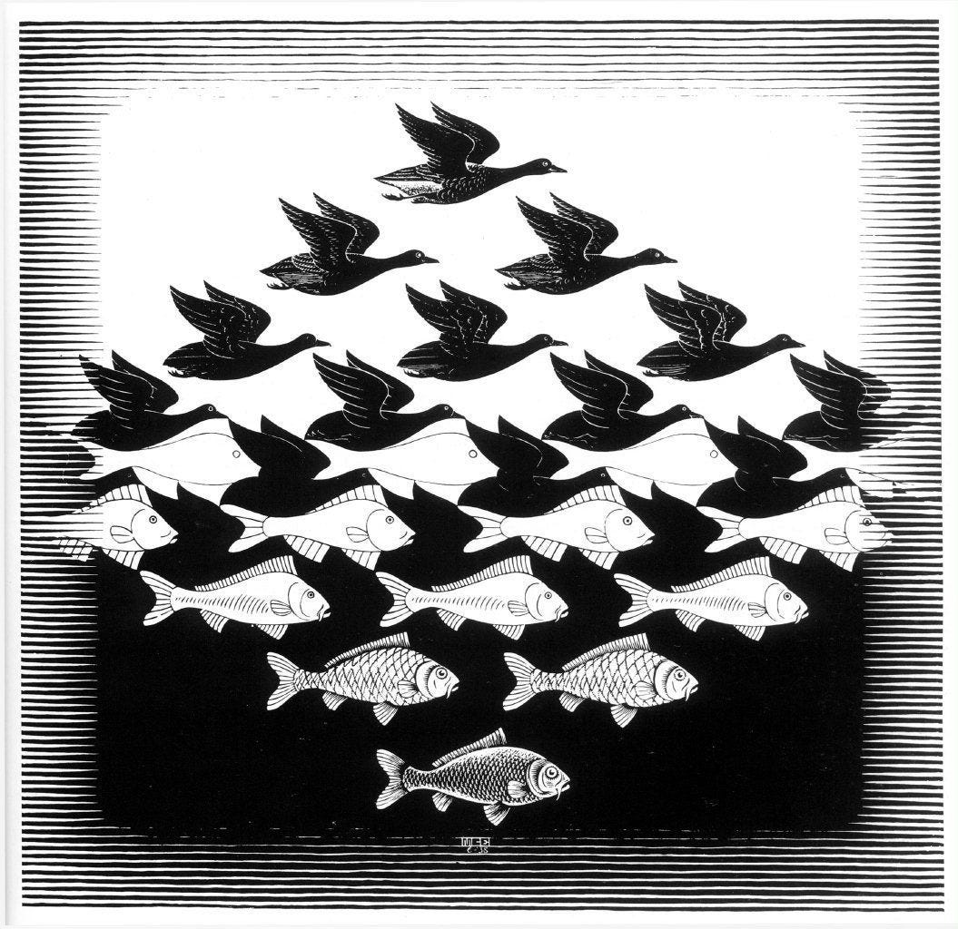 Image of escher art of birds turning to fish