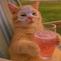 misosoup's avatar