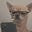 Jimmy McGuill's avatar