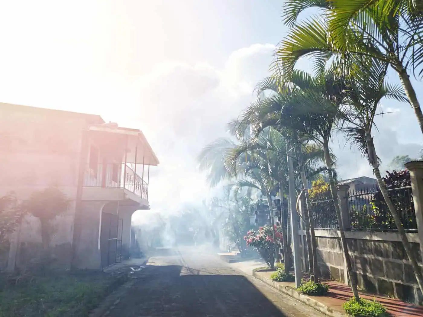 a street in a tropical location that is fogged with mosquito spray