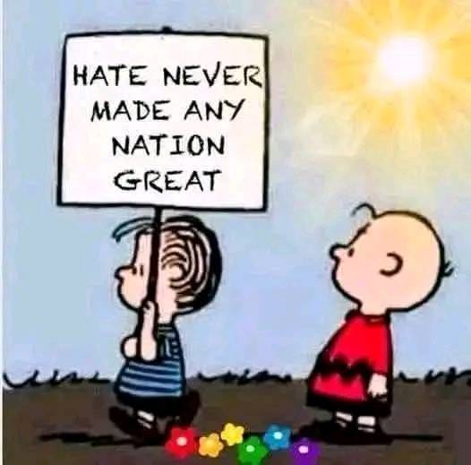 May be an image of text that says 'HATE NEVER MADE ANY NATION GREAT'