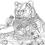 Bearly Politics
