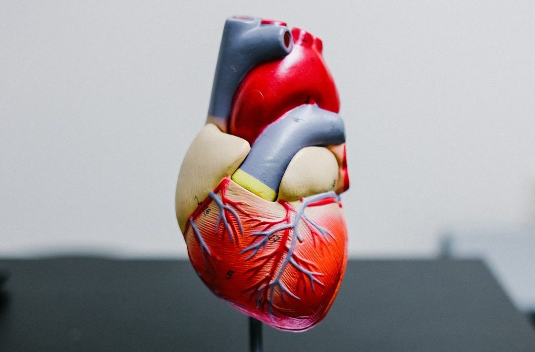 red and yellow bird figurine red and yellow bird figurine