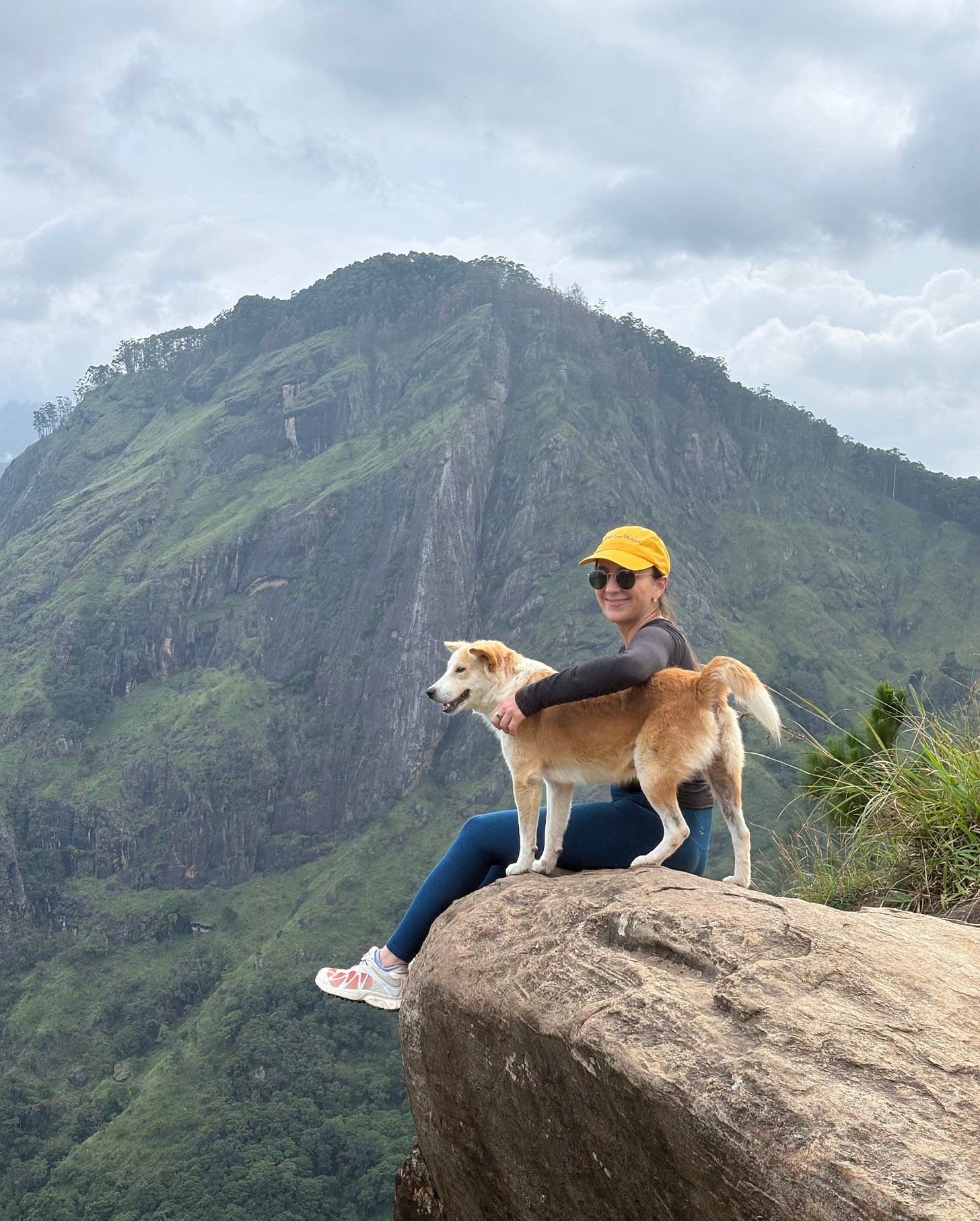 Dog on Ella Rock, Sri Lanka