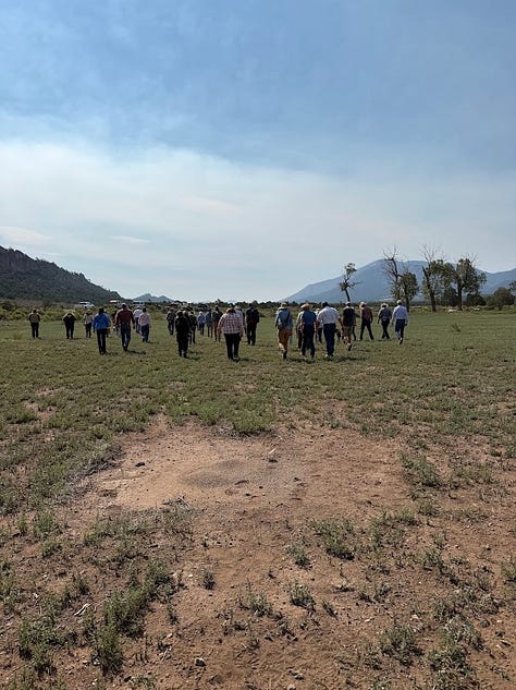 A gallery from the Redwing Ranch field day: attendees walking single-file across the grassland toward distant hills, a close-up portrait of a woman in a straw cowboy hat and sunglasses, and two people in conversation while seated on the open tailgate of a pickup truck.