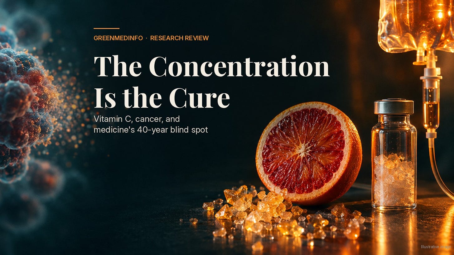 Blood orange, ascorbic acid crystals, a vial and an IV bag beside a dissolving cancer cell cluster Blood orange, ascorbic acid crystals, a vial and an IV bag beside a dissolving cancer cell cluster