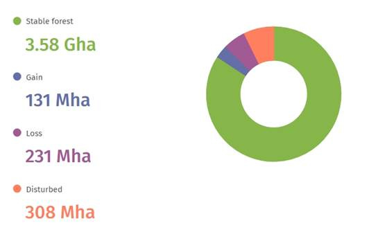 A chart with different colored circles

AI-generated content may be incorrect.