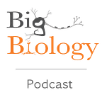Big Biology