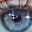 Eyewitness Beauty's avatar