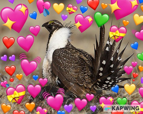 3 images: 1 is the cover for the game OBLIVION, with the text "a game by dk makes" and "a reimagining of Sam Leigh's Anamnesis." The image behind the text is a plume of abstract, creepy pink smoke against an opaque, dark blue background. The second image is a sage grouse standing at attention and surrounded by bright, colorful emoji hearts. The last image is an illustration of a round window overlooking a simple cartoon night landscape, with the words "Window Seat" curving above the window.