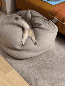 a cat is laying on top of a bean bag chair a cat is laying on top of a bean bag chair