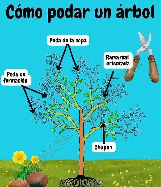 No hay ninguna descripción de la foto disponible.