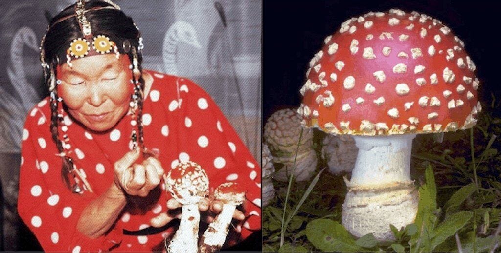 Siberian Shaman dressed up and holding the Amanita muscaria.
