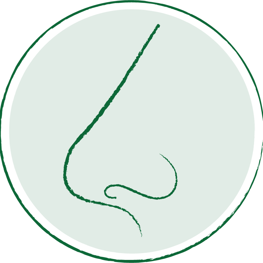 Nena's Neusje - boeken, muziek & media