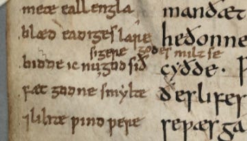 Detail of manuscript page, showing inserted text