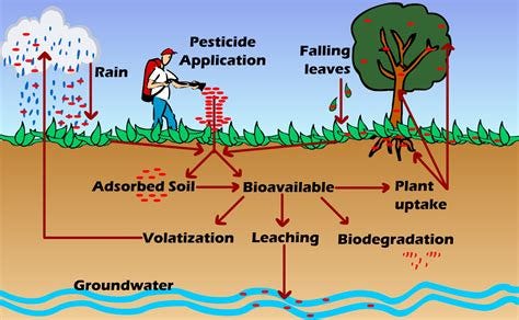 Persistence and Bioaccumulation of Persistent Organic Pollutants (POPs ... Persistence and Bioaccumulation of Persistent Organic Pollutants (POPs ...