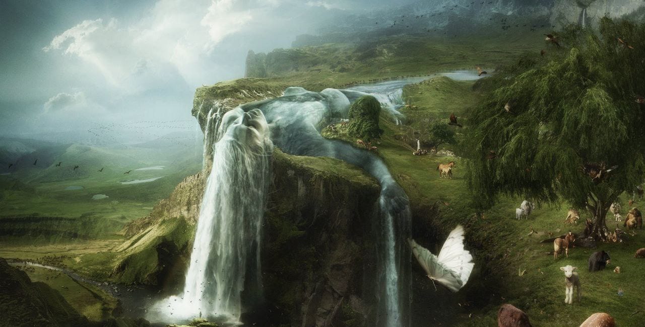 Rewilding the Soul After Trauma