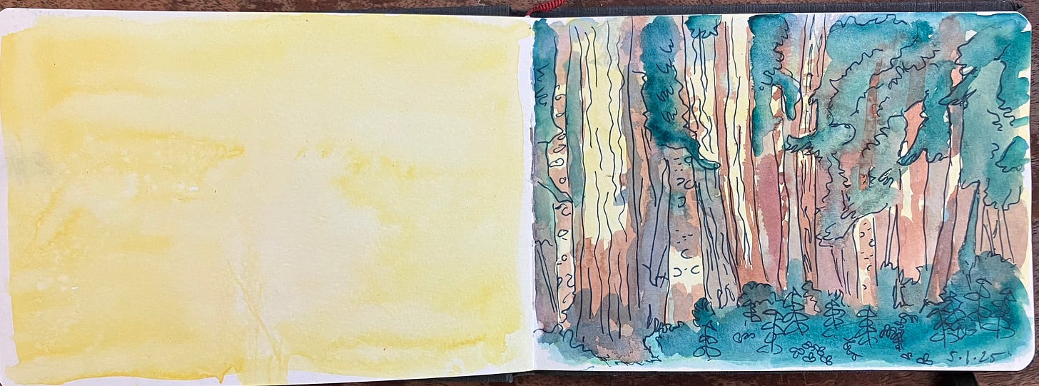 a watercolor painting of a yellow wash on the left side of the page & the woods at sunset filled with dappled light on the right side of the page