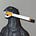 Blaine Atkins's avatar