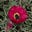 nodak.   988 if you need help.'s avatar