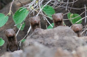 Surprise smiles, Lake Bogoria, Kenya Surprise smiles, Lake Bogoria, Kenya