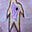 no one's avatar