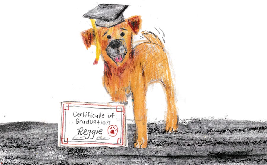 brown dog graduating from obedience class art by Beth Spencer brown dog graduating from obedience class art by Beth Spencer