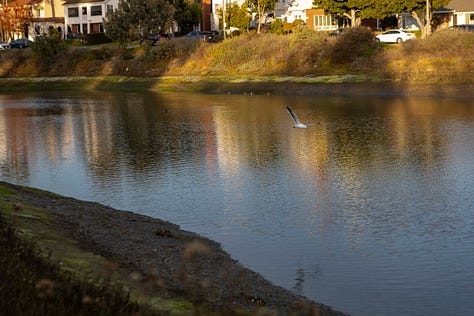 A photo essay made near the Colorado Lagoon in Long Beach, California