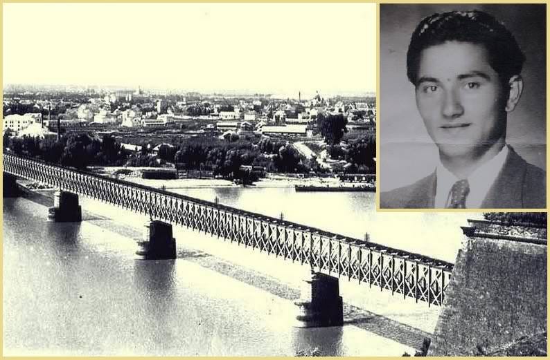 大多数 Franca J..jpg