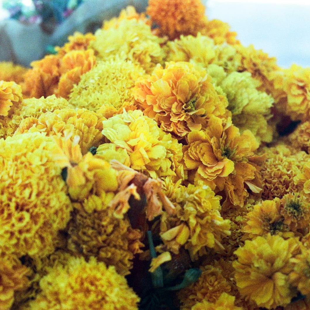 The Feminine Urge by Emily Graf