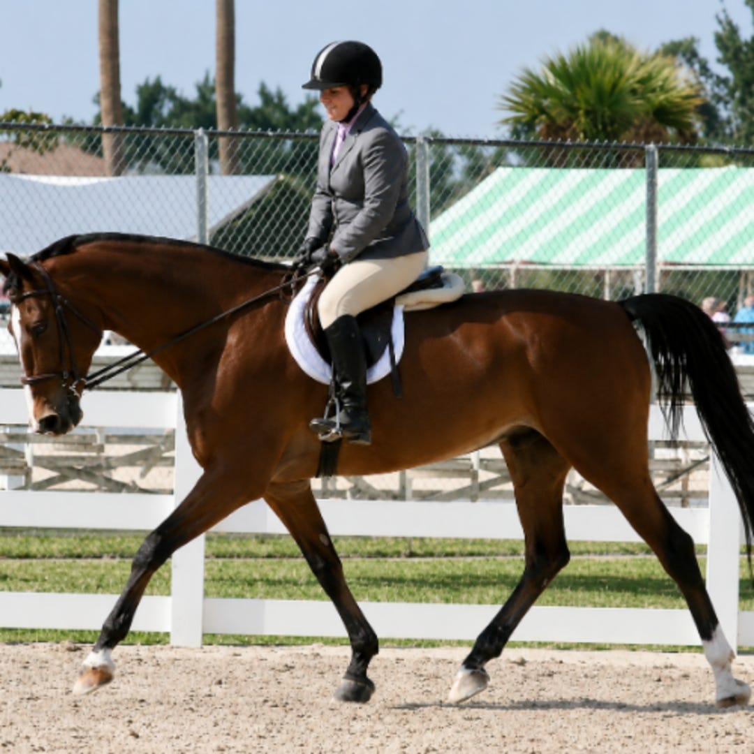 Margo's Horse Racing Rambles