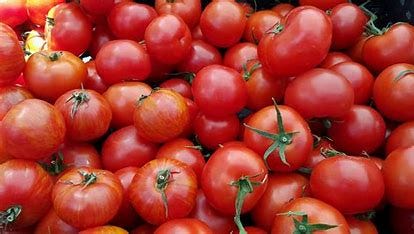 Image result for Tomotoes