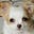 LasVCat's avatar