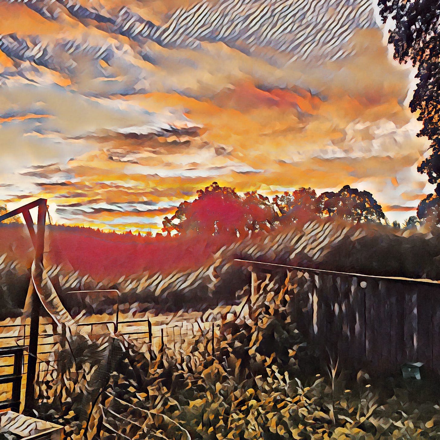 Morning Mists After An Evening Of Rains