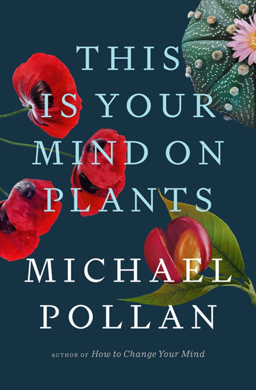 https://www.porchlightbooks.com/globalassets/book-covers/9780593296905.jpg?w=1000&scale=both&mode=crop&u=637590135601500000