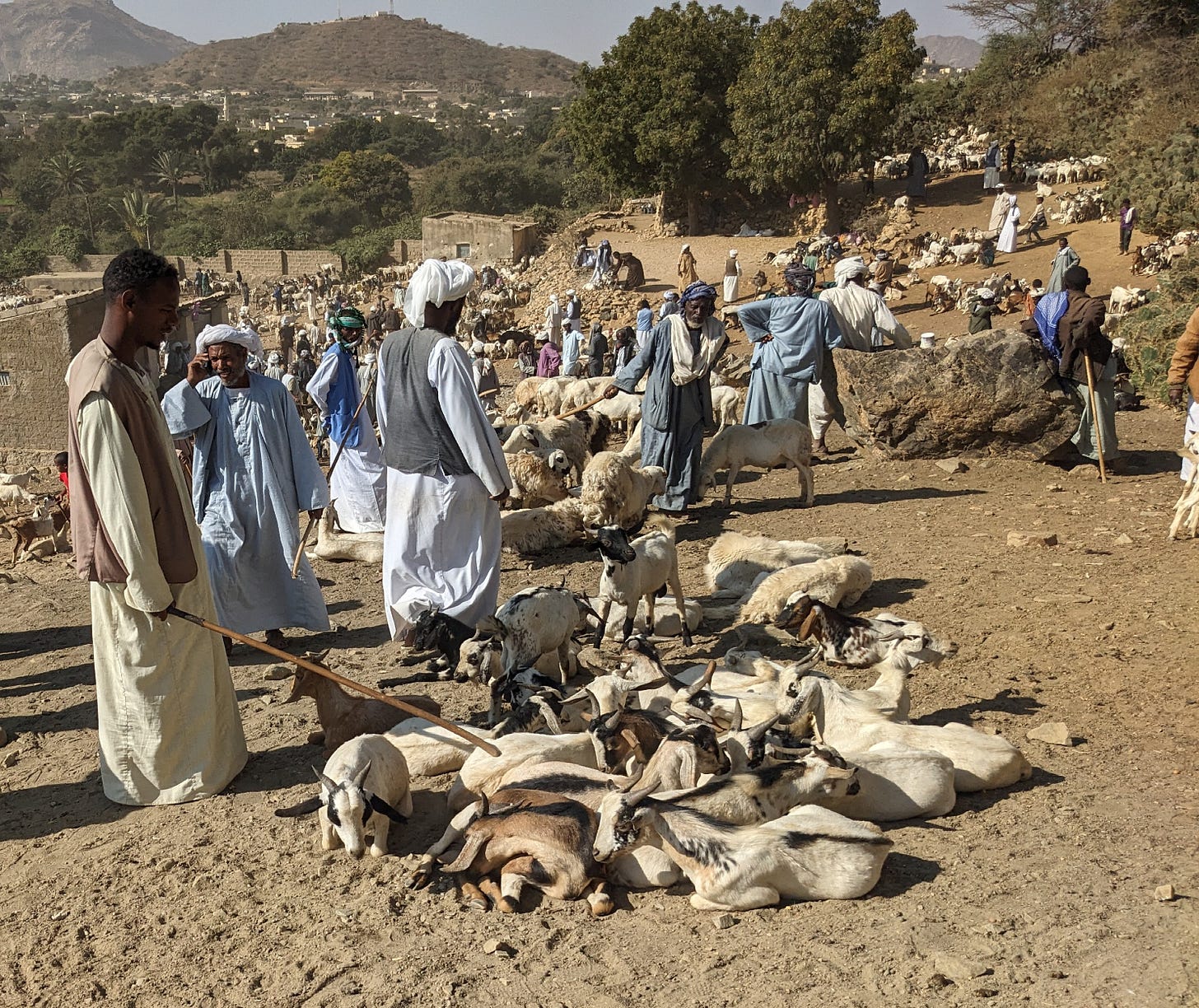 Goat herders wearing robes and turbans are tending their herds, some of which are lying down. There is dust underfoot and a bright blue sky. Goat herders wearing robes and turbans are tending their herds, some of which are lying down. There is dust underfoot and a bright blue sky.