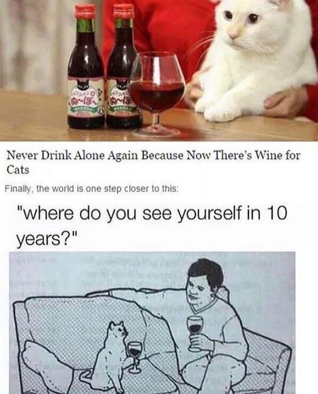 sippin wine with my cats : r/memes sippin wine with my cats : r/memes