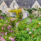 Anatomy of Market Failure II: Pareto-Relevant Externality