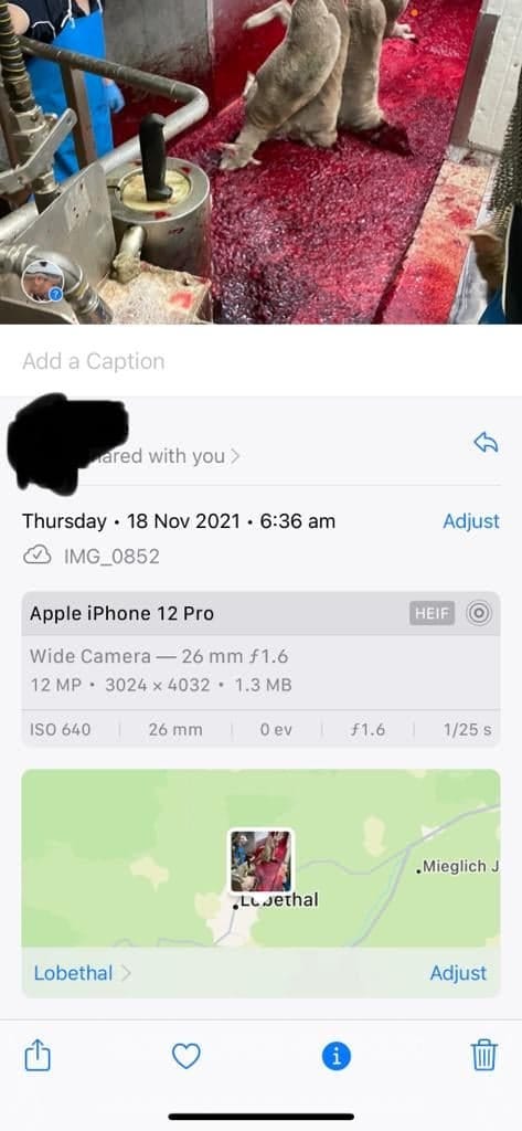 No description available.