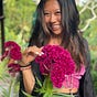 Holly Chang's avatar