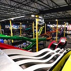 An amusement park where grandmas are booking time slots for themselves