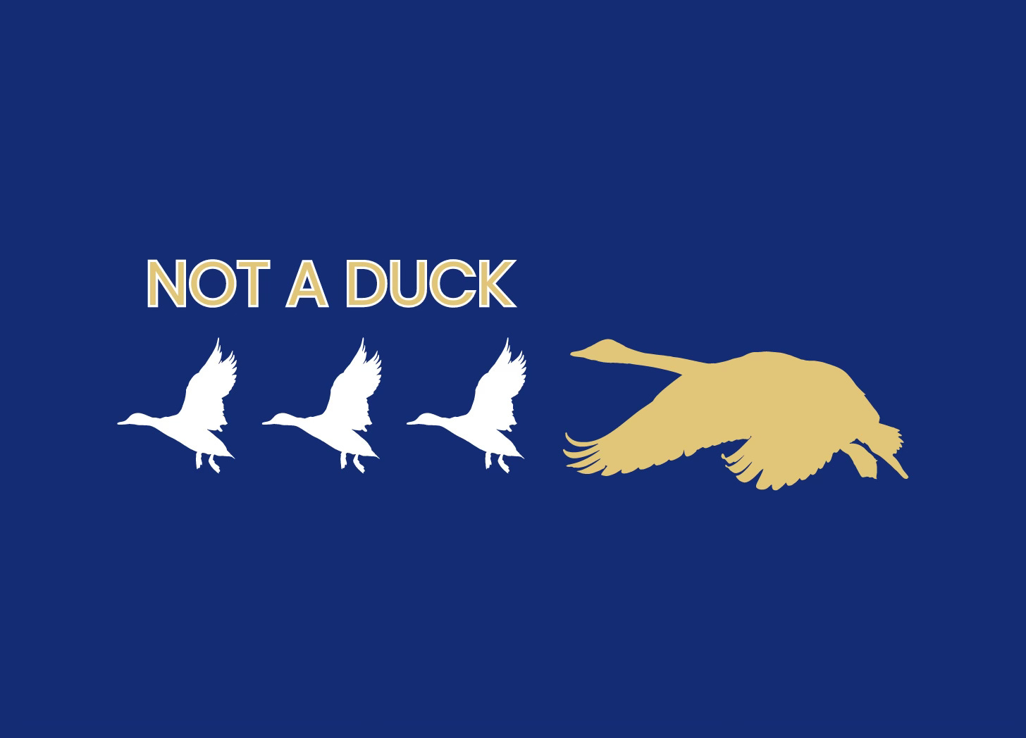 Unmasking Autism Blog: Not a Duck. Autistic Blog (7 mins) | The Price of Unmasking: from inside Angela's Autistic mind.
