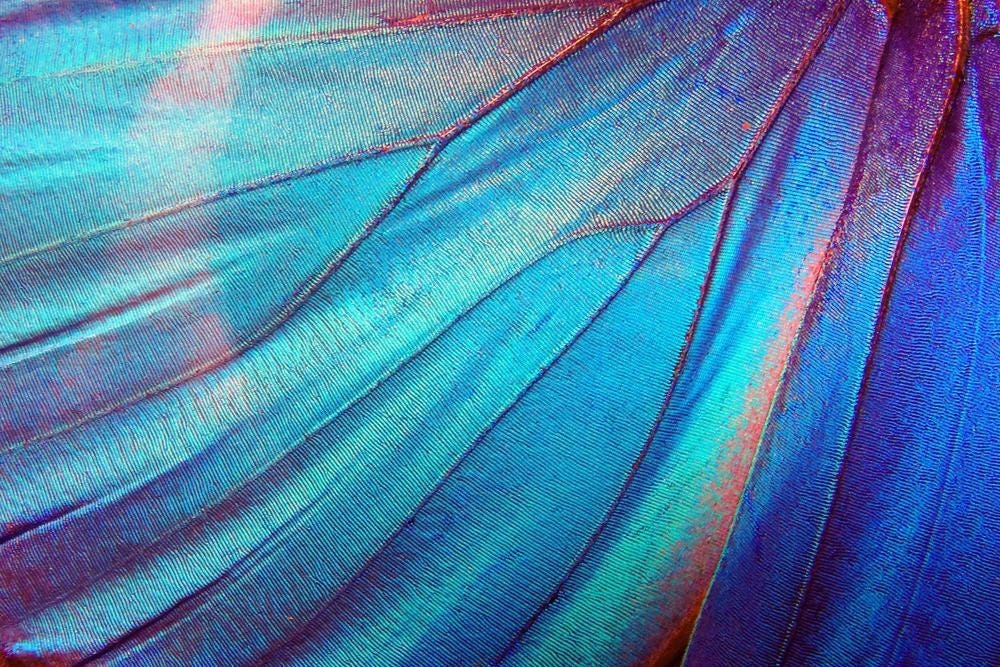 Bio-Inspired Multiband Camouflage Materials