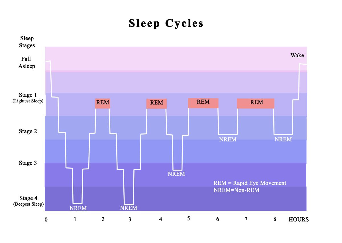 Here's why hitting snooze can actually confuse your brain - Business Insider