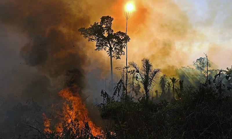 Brasil chega à Cúpula do Clima sob cobrança e descrédito dos líderes mundiais | Brasil de Fato Brasil chega à Cúpula do Clima sob cobrança e descrédito dos líderes mundiais | Brasil de Fato