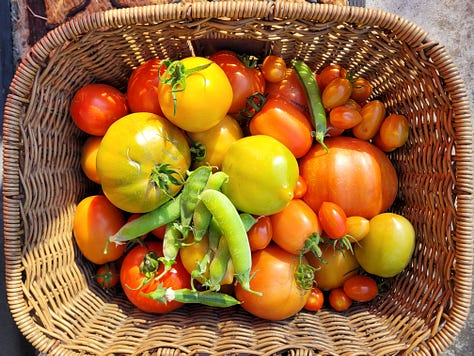Various produce from the garden.