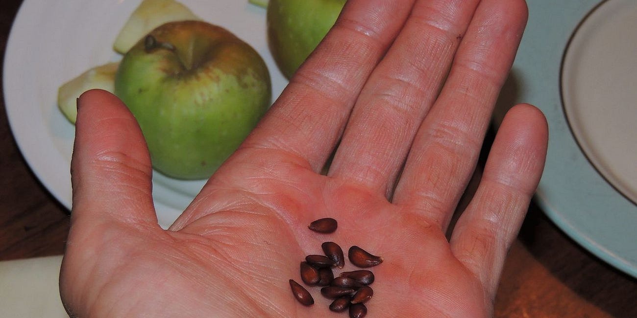 Seed Saving Season Is Here!