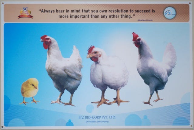 Venky's poster 6