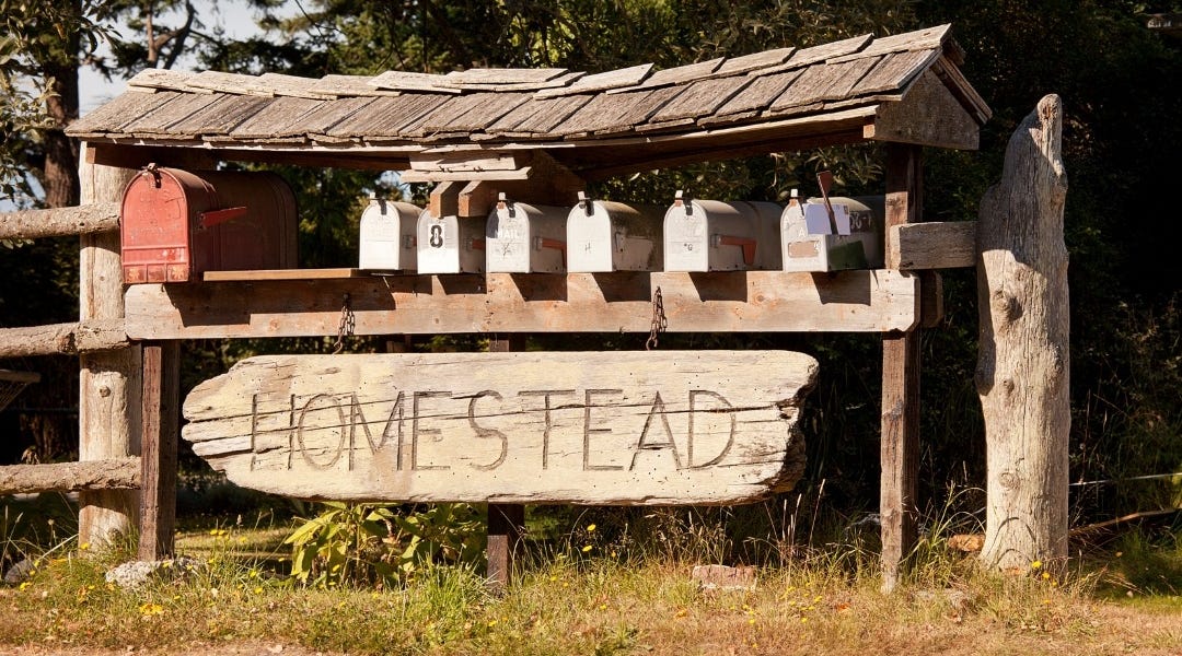 You Can Homestead in the City&mdash;Here&rsquo;s How